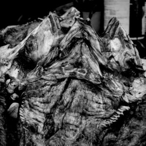 Dried Fish II