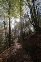 into the light