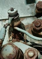 color and rust