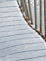 snow and fence