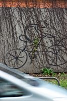chasing the biker