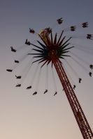 octoberfest: starfly