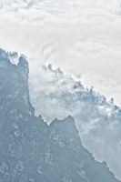 japanese landscape, bavaria