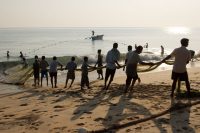 batticaloa fishermen, again