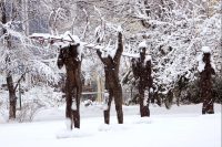 drama in the snow