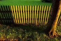 Long shadows