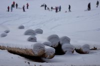 Logs and a Recommendation