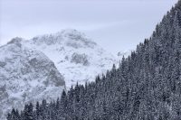 Monochrome Slope