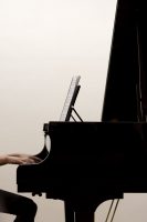 Steinway Still Life