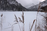 Frozen Swimming Lake