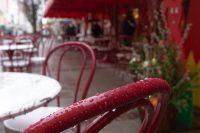 Spring Takes a Break
